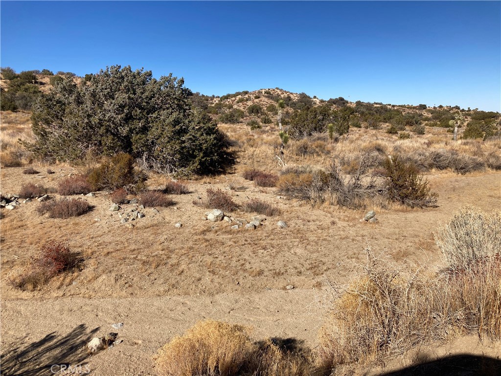 MLS #HD25011495 image #3