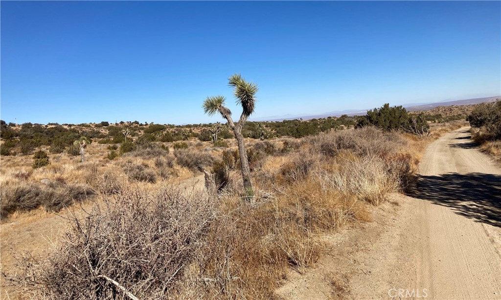 MLS #HD25011495 image #4