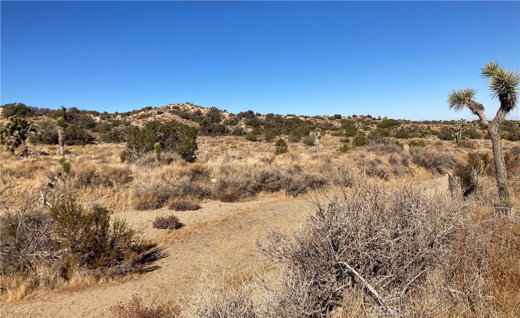 MLS #HD25011495 image #5