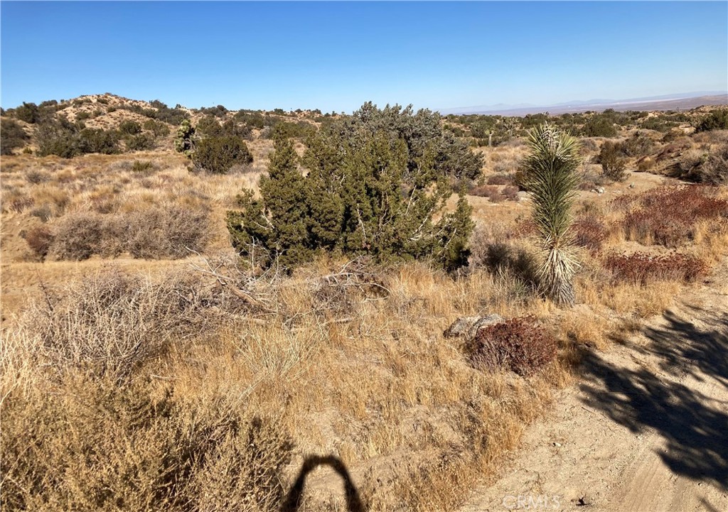 MLS #HD25011495 image #6