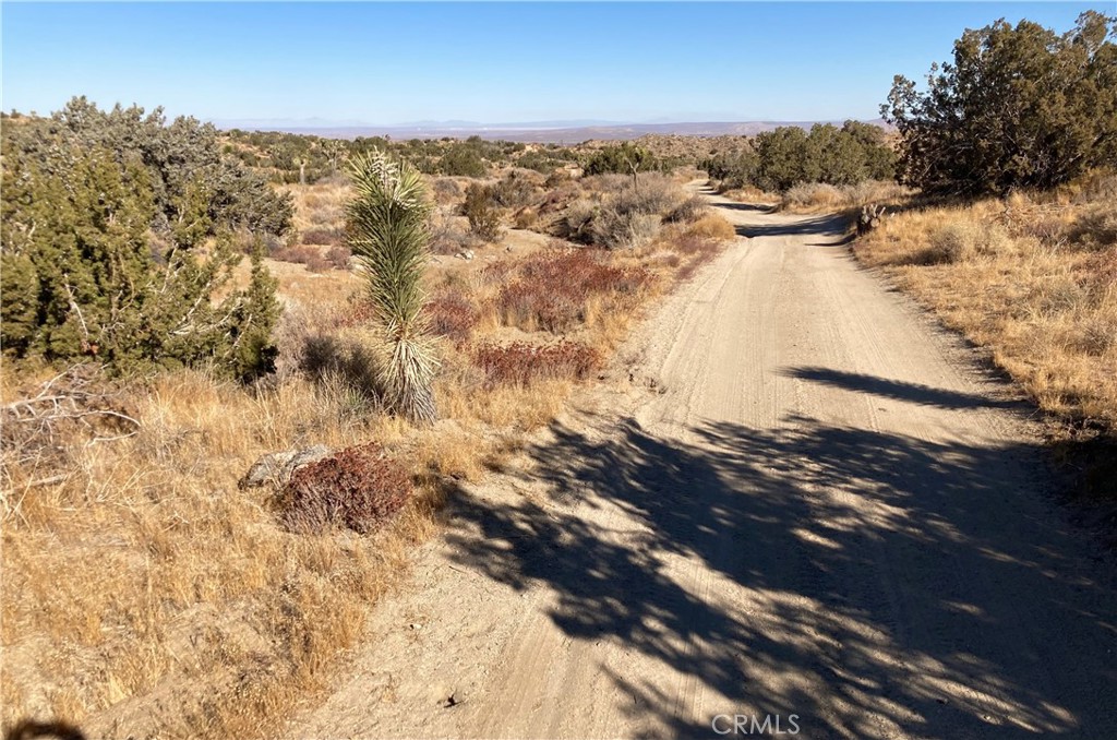 MLS #HD25011495 image #7