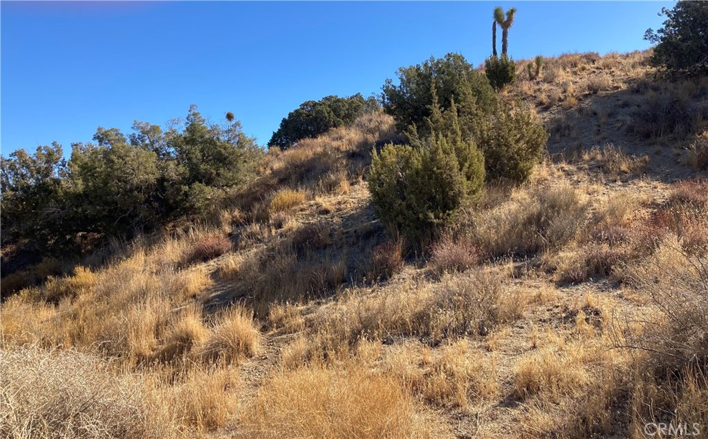 MLS #HD25011495 image #8