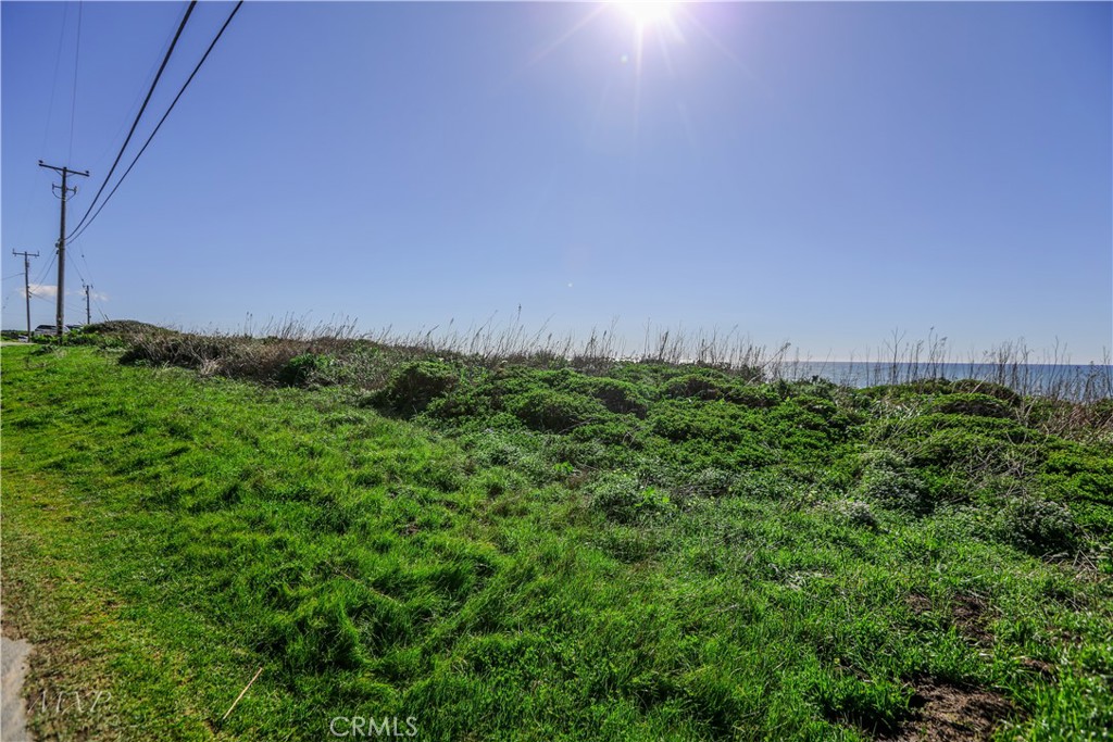 MLS #HD25031568 image #4