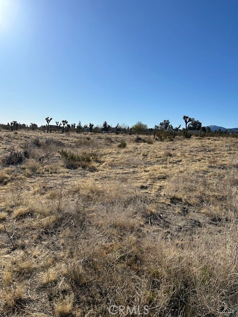 MLS #HD25051077 image #4