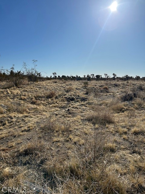 MLS #HD25051077 image #5