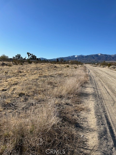 MLS #HD25051077 image #6