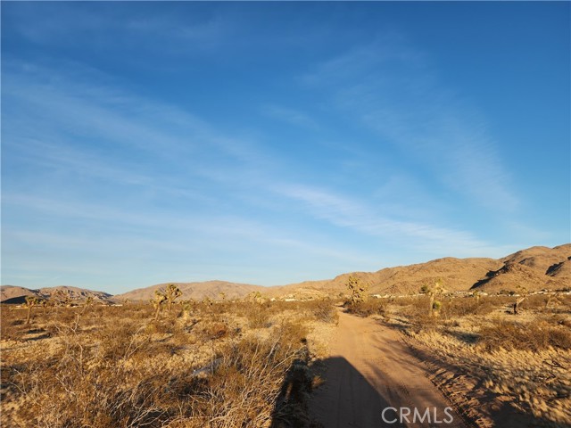 MLS #HD25061856 image #8