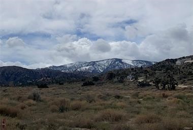 MLS #HD25078527 image #14