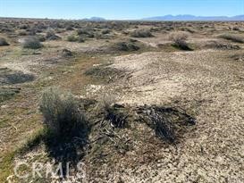 MLS #HD25081900 image #5