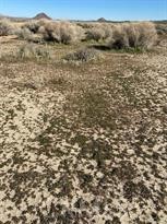 MLS #HD25081900 image #6