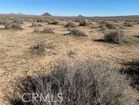 MLS #HD25081900 image #7