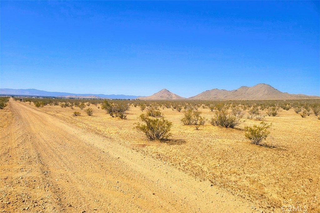 MLS #HD25090973 image #12