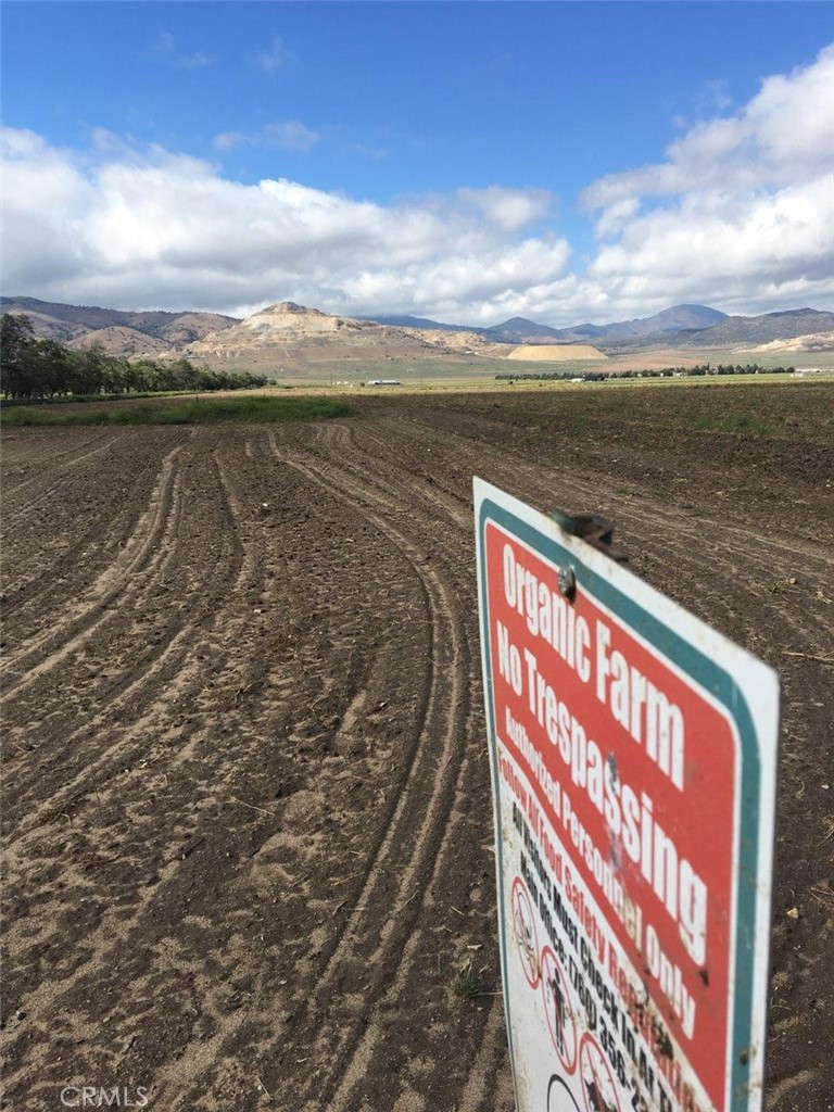 MLS #HD25116735 image #12