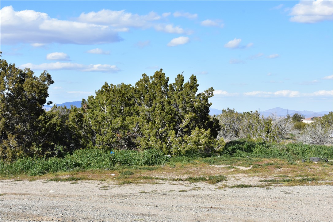 MLS #HD25140809 image #13