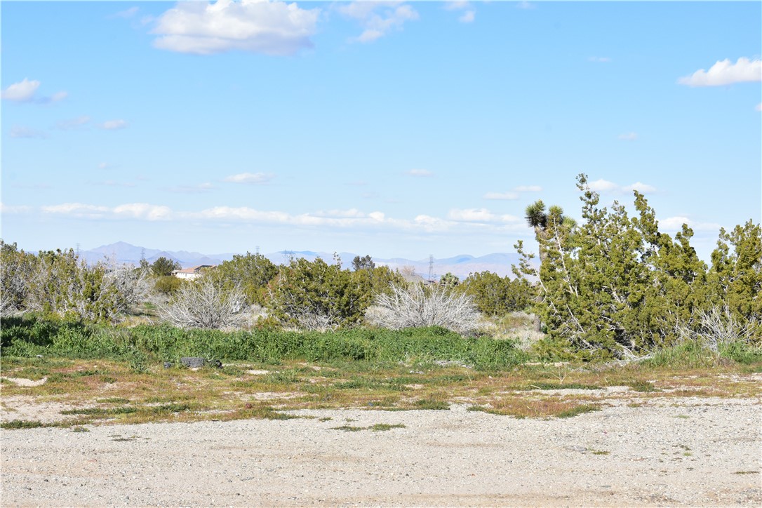 MLS #HD25140809 image #14