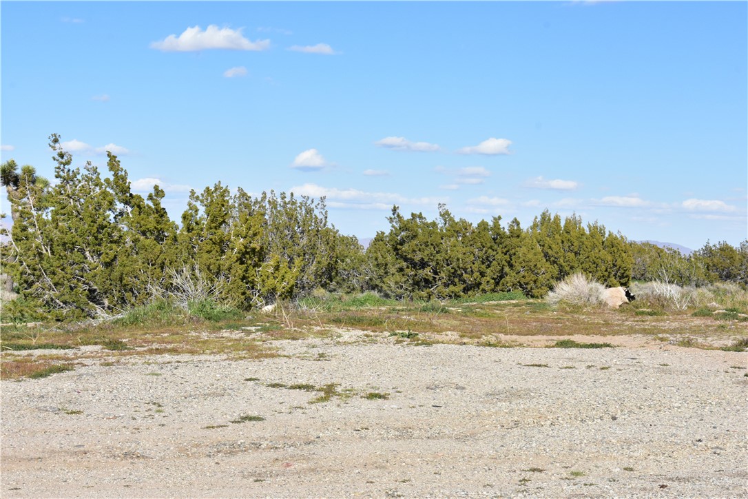 MLS #HD25140809 image #15