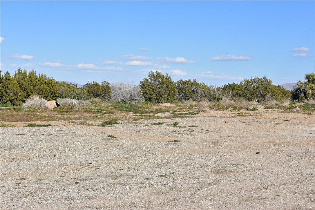 MLS #HD25140809 image #16