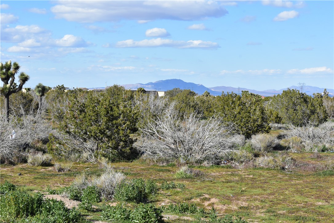 MLS #HD25140809 image #21