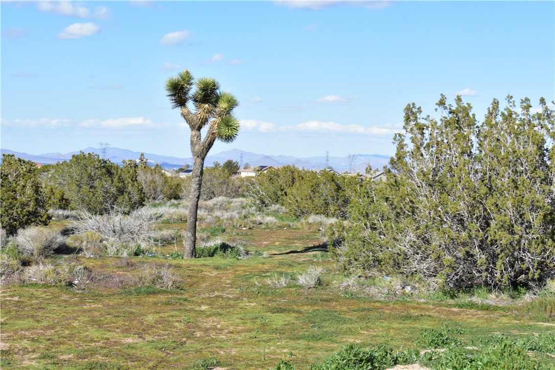 MLS #HD25140809 image #22