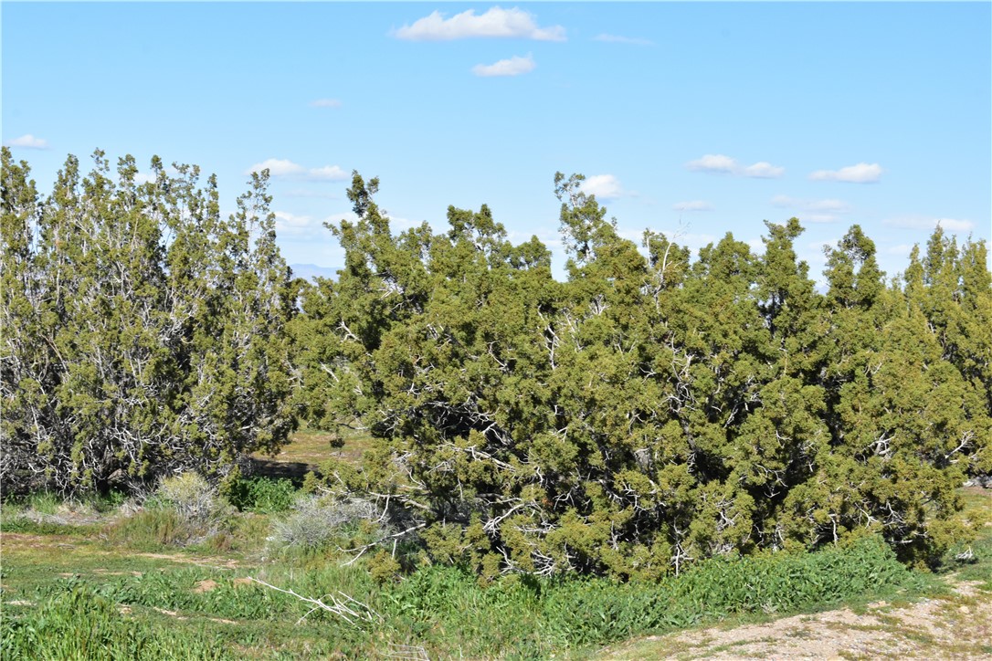 MLS #HD25140809 image #23