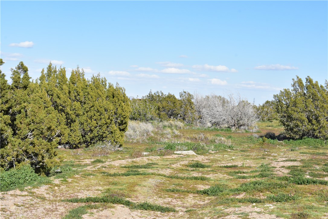 MLS #HD25140809 image #24