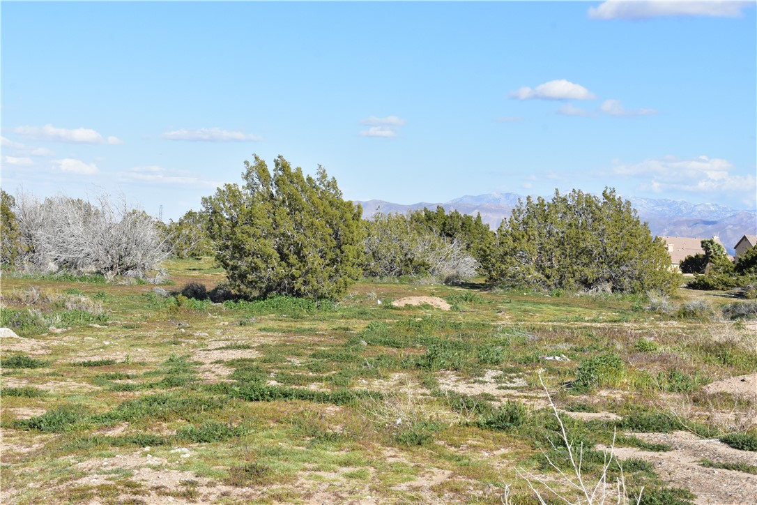 MLS #HD25140809 image #25