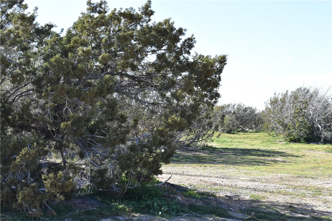 MLS #HD25140809 image #30