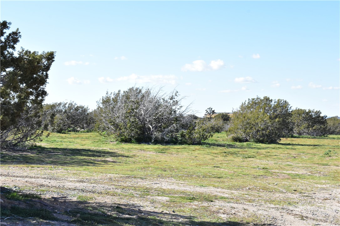 MLS #HD25140809 image #31