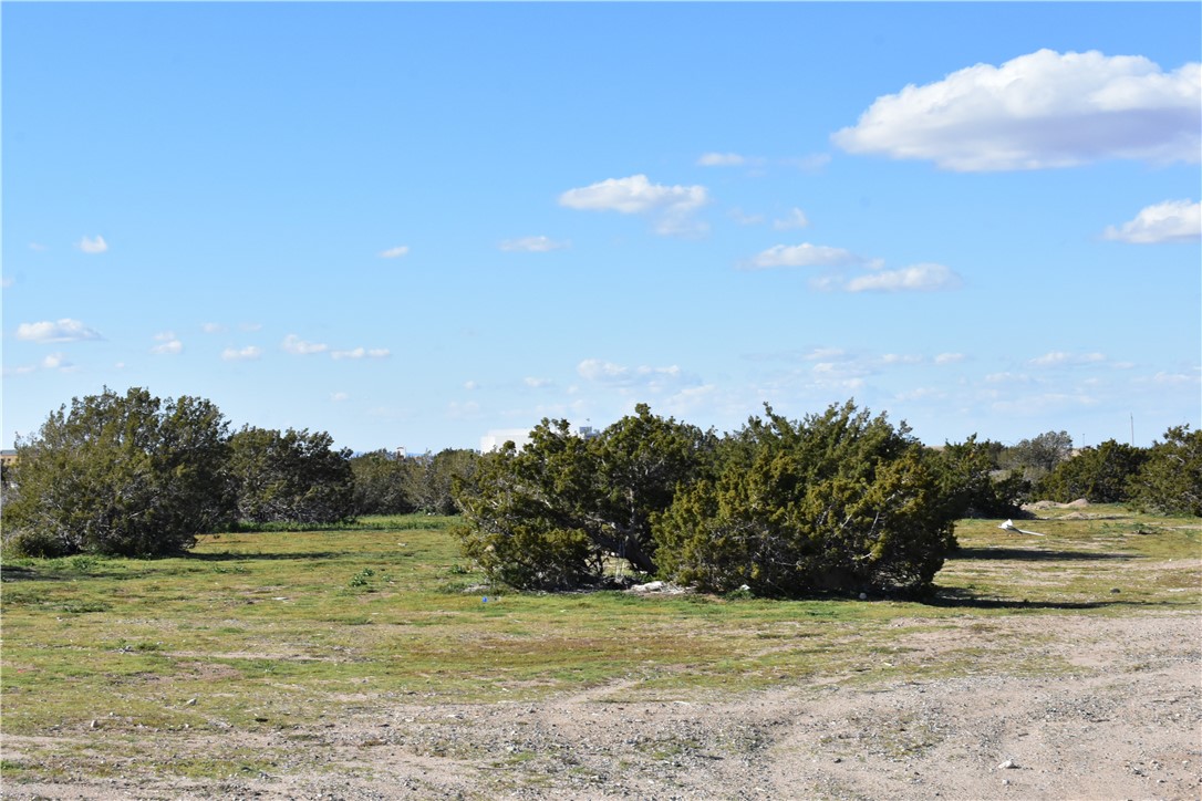 MLS #HD25140809 image #32