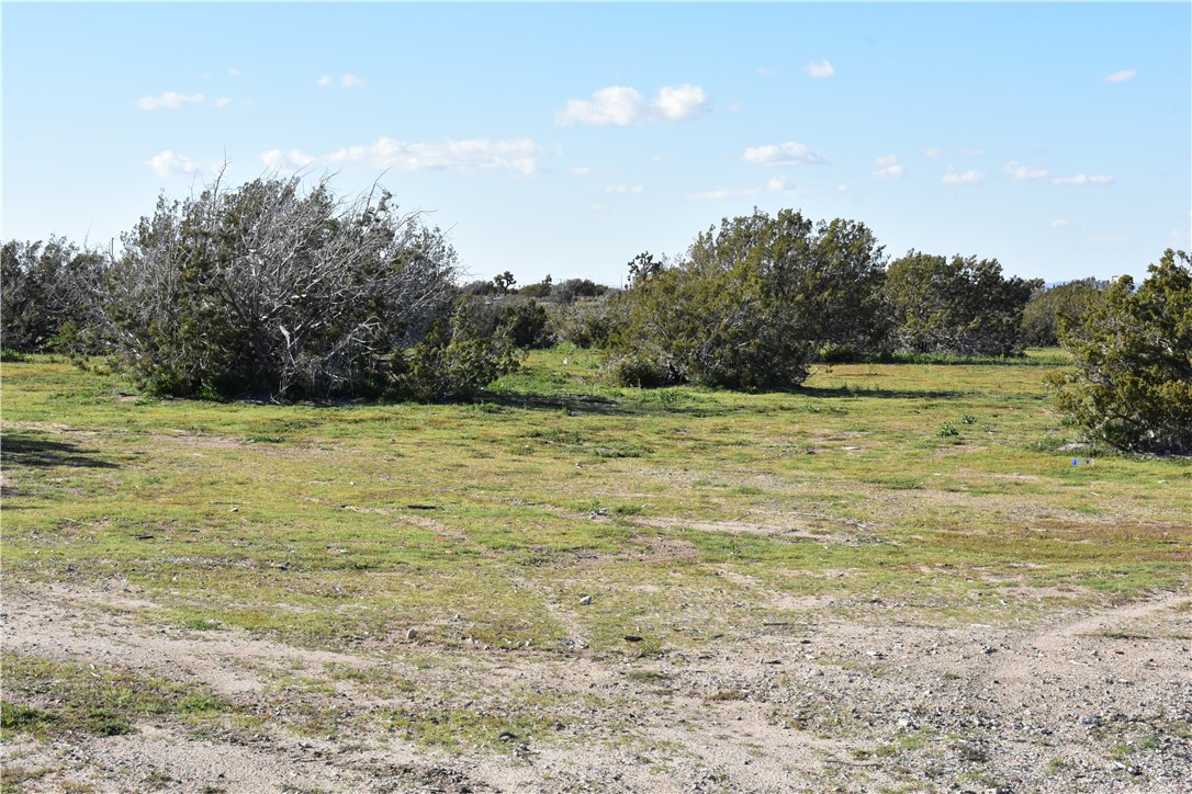 MLS #HD25140809 image #35