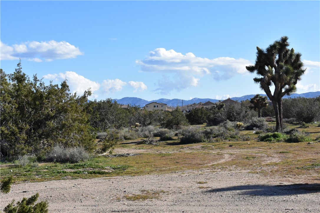 MLS #HD25140809 image #38