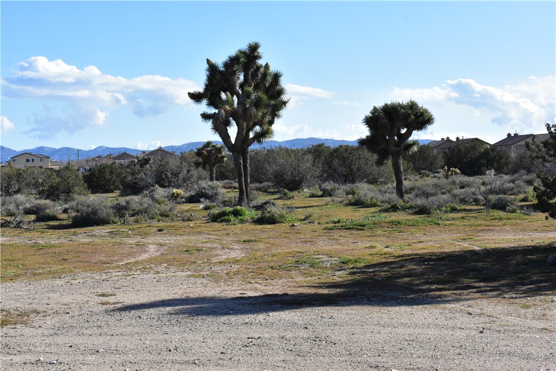 MLS #HD25140809 image #39