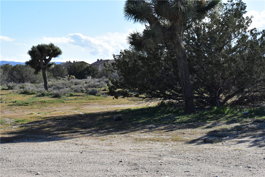 MLS #HD25140809 image #40