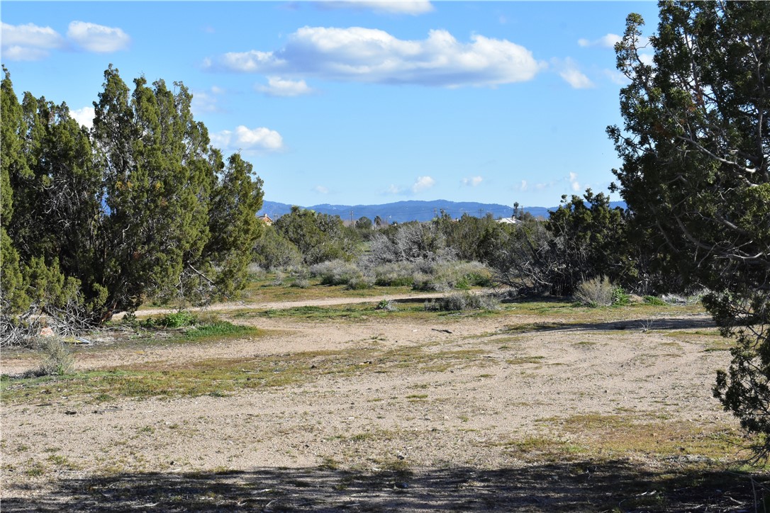 MLS #HD25140809 image #43