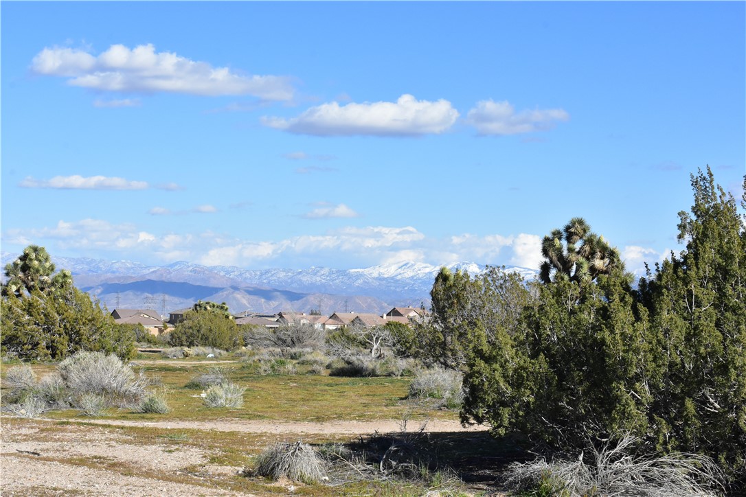 MLS #HD25140809 image #44