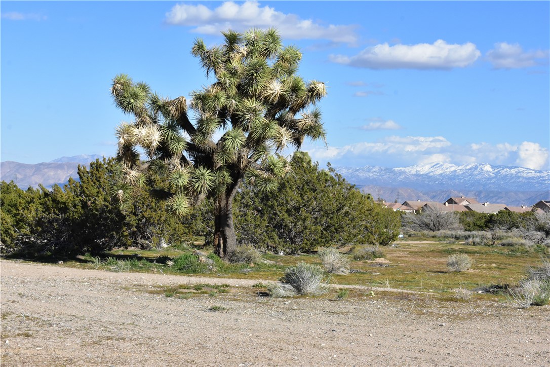 MLS #HD25140809 image #46