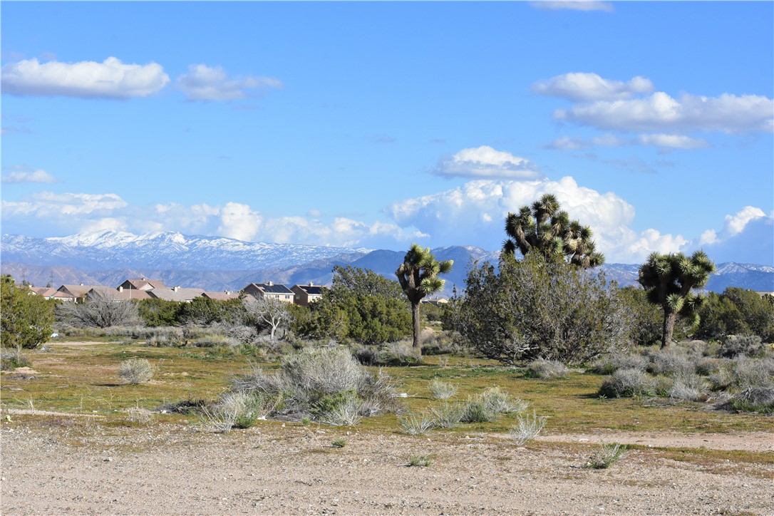 MLS #HD25140809 image #47