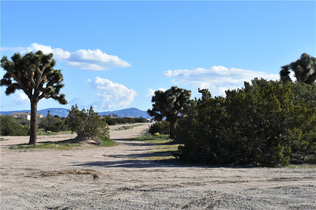 MLS #HD25140809 image #49