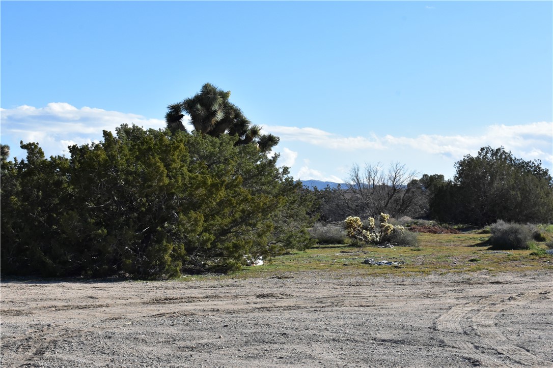 MLS #HD25140809 image #50