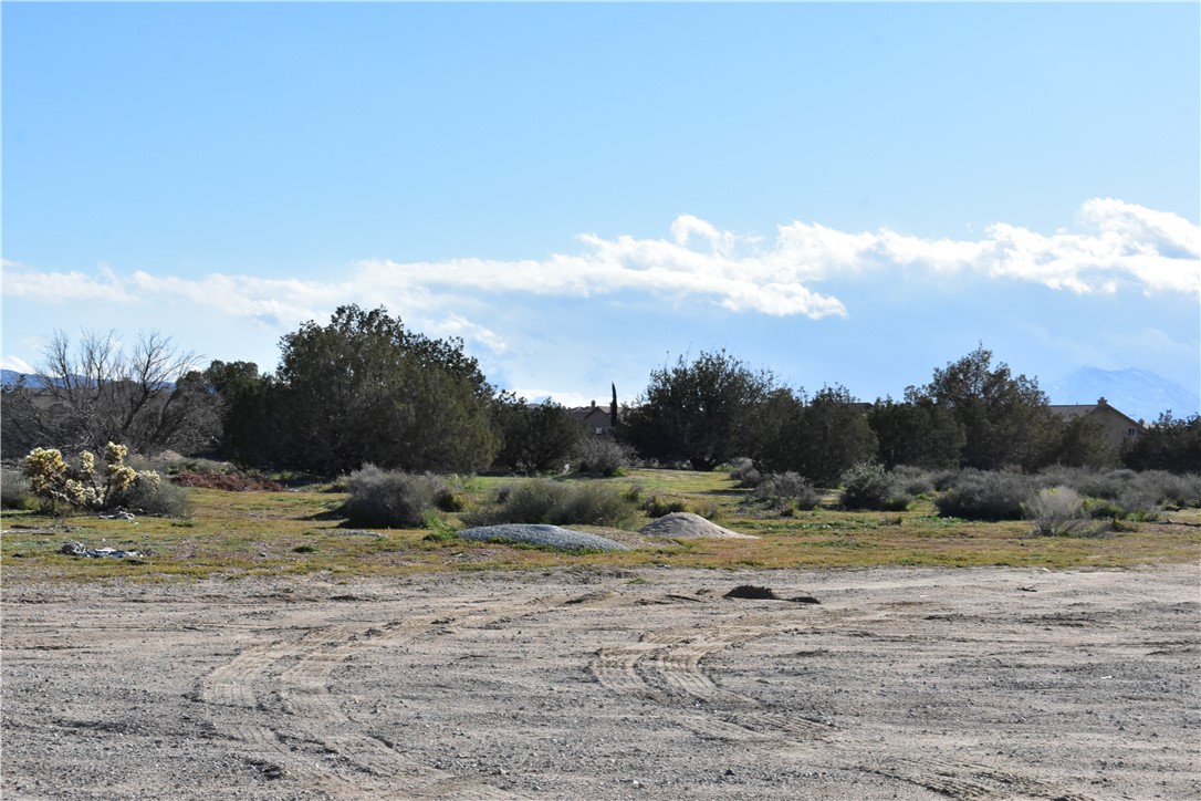 MLS #HD25140809 image #51