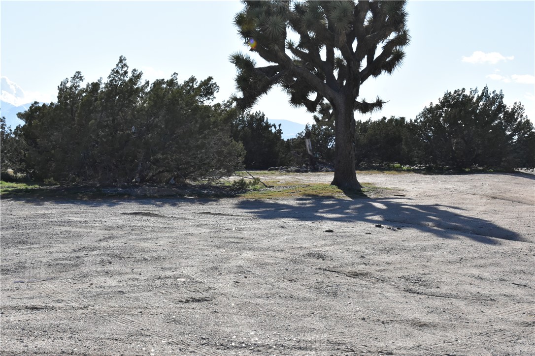 MLS #HD25140809 image #53