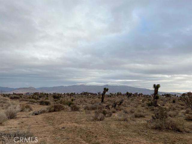 MLS #HD25162663 image #6