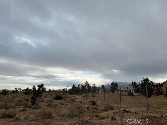 MLS #HD25162663 image #9