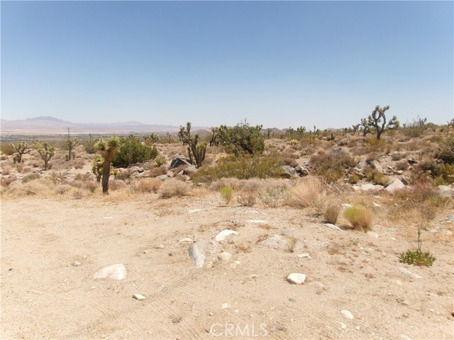 MLS #HD25164151 image #6