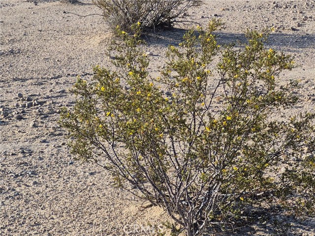 MLS #HD25167850 image #28