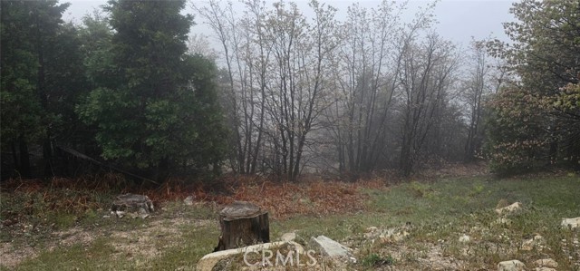 MLS #HD25168756 image #2