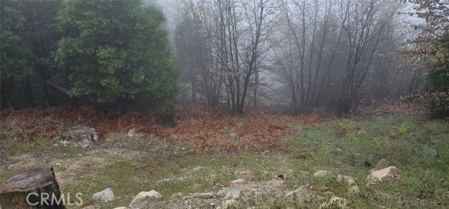 MLS #HD25168756 image #4