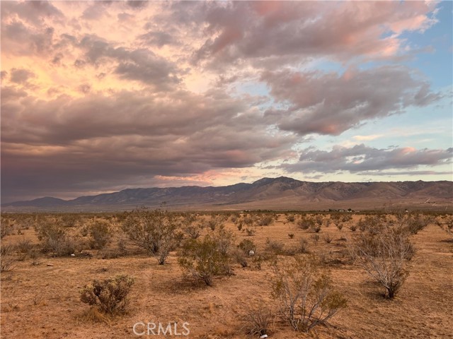 MLS #HD25171438 image #4