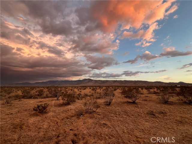 MLS #HD25171438 image #6