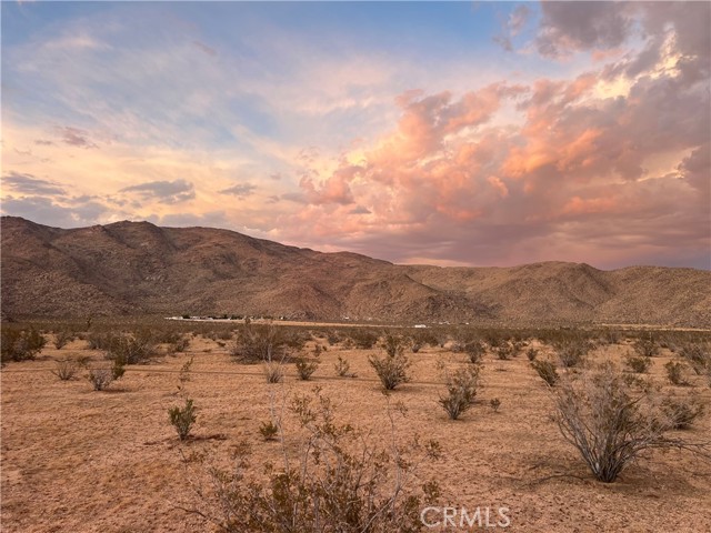 MLS #HD25171438 image #8